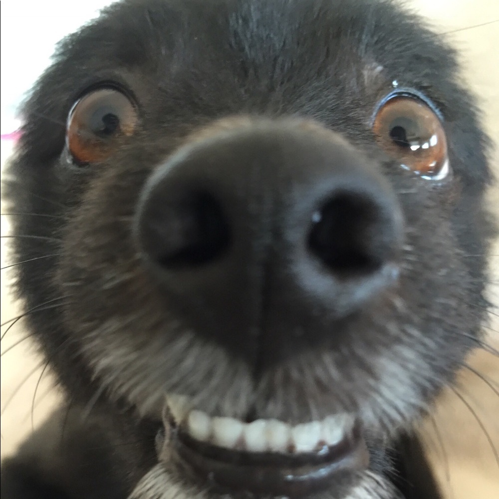 Meet your Posher, Sharla